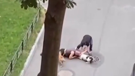 Hombre cubre con el cuerpo a su perro para protegerlo del feroz otros dos canes