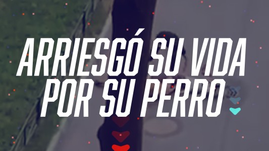Un hombre arriesgó su vida para proteger y salvar a su perro en Rusia - #FlashChat