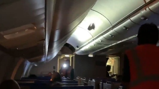 Dos pájaros dentro de un avión causan alboroto y retrasan un vuelo