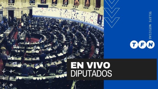 Informe de Santiago Cafiero en la Cámara de Diputados