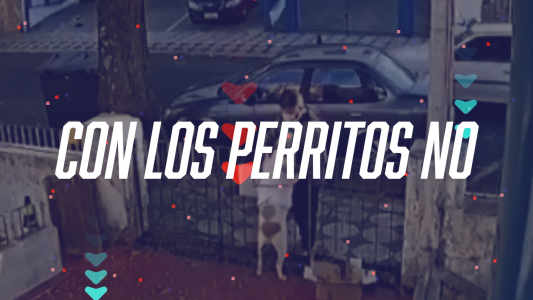 Le robó el abrigo a un perro en Lanús - #Flashchat