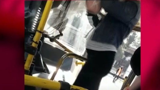 Video: furia de una embarazada en el colectivo