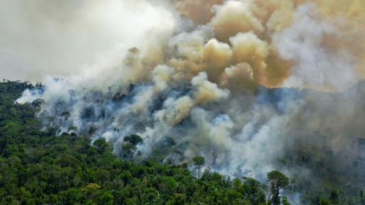 La selva amazónica se transformó en emisor de dióxido de carbono por la tala e incendios