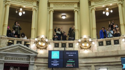 El Senado dio media sanción al proyecto de ley que regula la producción industrial de cannabis medicinal y sus derivados