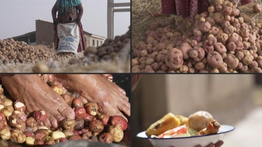 Estas papas pueden durar 20 años