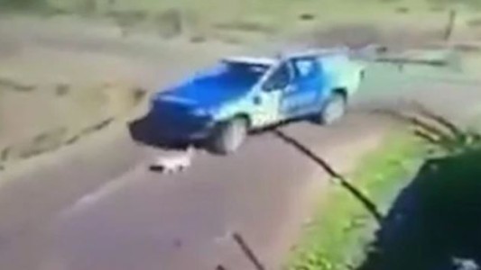 Video: Investigan a policías por perseguir y atropellar a un perro en Zárate