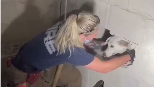 Los bomberos derriban la pared del garaje para rescatar a un perro