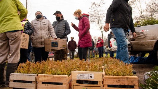 Entregan plantas nativas para reforestar el bosque incendiado en la zona del Lago Puelo