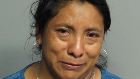 Murió una nena de 2 años que estuvo 7 horas encerrada en un auto: su niñera se la olvidó al bajar