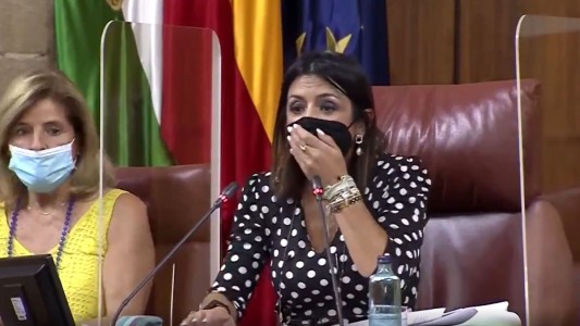 Pánico por una rata suelta en el Parlamento