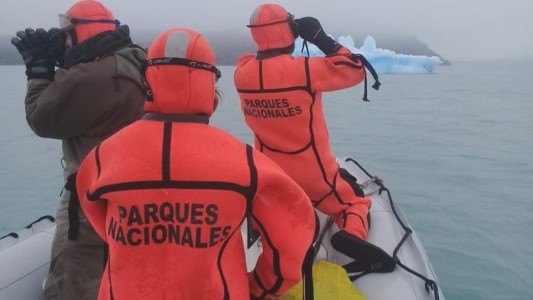 ¿Cómo terminó la historia del puma varado sobre un iceberg en la Patagonia?