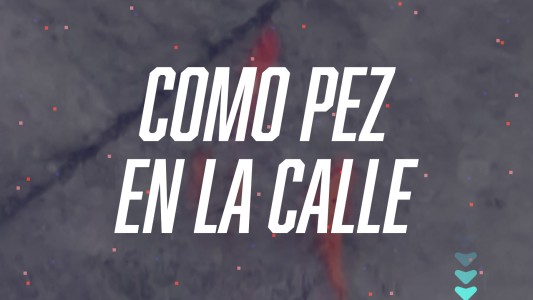 Una calle se llenó de peces por las inundaciones en China - #FlashChat