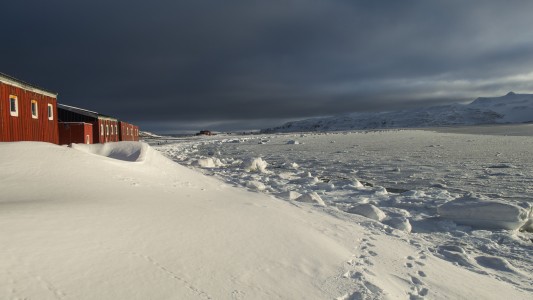 Se congeló la superficie del agua del mar frente a la Base Carlini en la Antártida