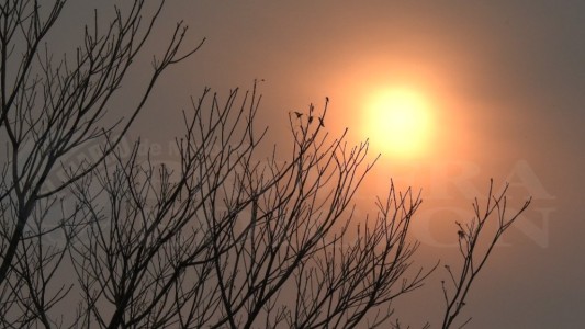 Pronostican más calor y menos lluvias para los próximos tres meses en el país