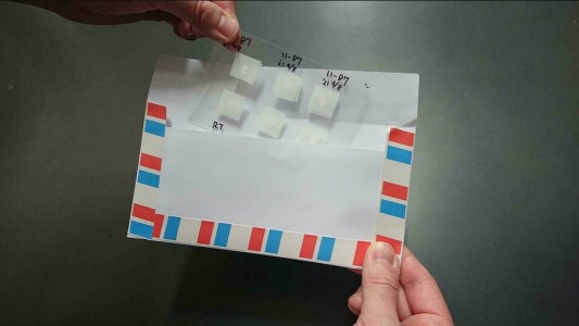 Científicos japoneses desarrollan postales de esperma de ratón liofilizado