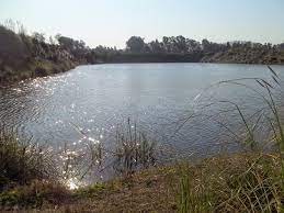 "Piletas de la muerte”: ¿qué son y por qué son tan peligrosas las tosqueras?