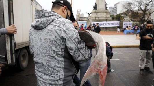 Anuncian para mañana un nuevo "pescadazo" frente al Congreso