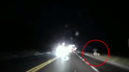 Video de terror: un hombre grabó en una ruta una imagen y todos creen que es "La Llorona"