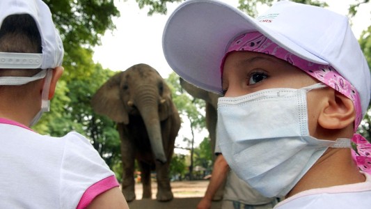 #JugarIMPORTA: una campaña para concientizar sobre el cáncer en niños, niñas y adolescentes