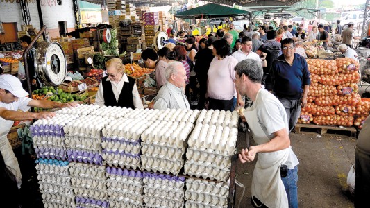 Lanzan Alta Red, la primera federación de comercializadoras solidarias del país