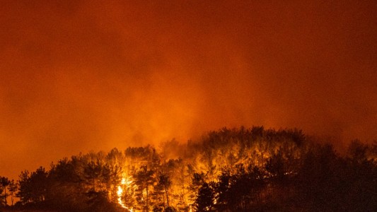 Ocho muertos al estrellarse un hidroavión que trabajaba para apagar los incendios en Turquía