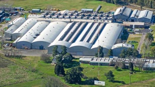 Proponen un “modelo prejubilatorio” para resolver los problemas de la vuelta a la presencialidad laboral