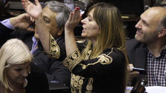 Juliana di Tullio asumió como senadora nacional en reemplazo de Jorge Taiana