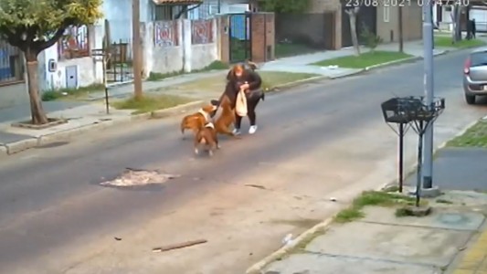 El momento del brutal ataque de tres perros a una mujer que resultó herida