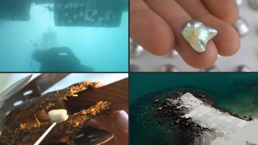 Cultivadores de perlas comparten una tradición de siglos