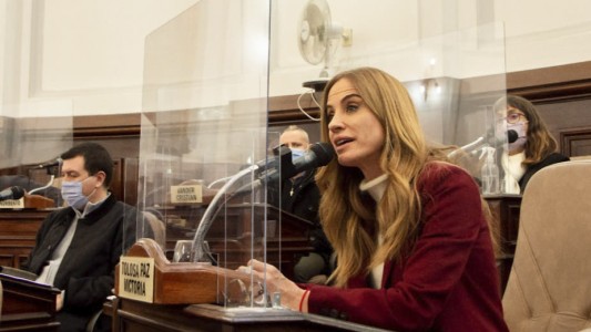 Tolosa Paz consideró que la docente que increpó a un alumno "no actuó en función de su formación"