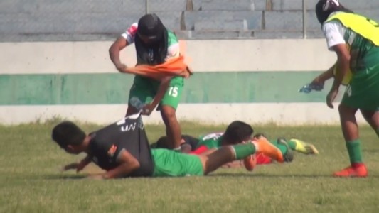 Abejas atacan a los jugadores y paralizan un partido de fútbol