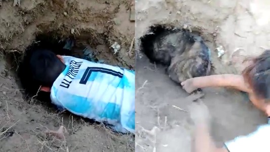 Un niño salvó a un perro que fue enterrado vivo: el estado de salud del animal es reservado