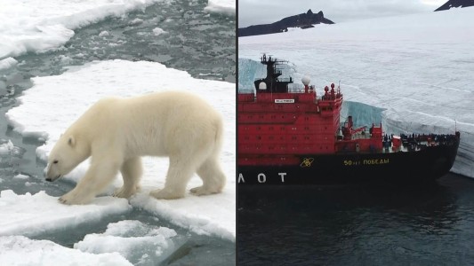 El hielo ártico: testigo y víctima del calentamiento global