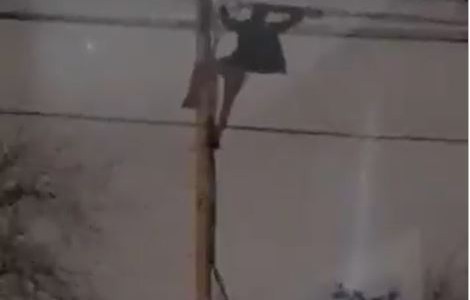 Una vecina registró el momento en que roban los cables eléctricos frente a su casa