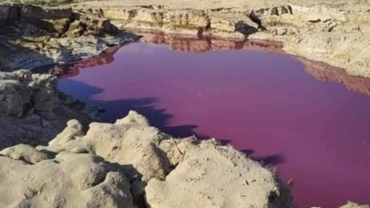Misterio en el mar Muerto: un brazo se tiñó de rojo y no encuentran explicación