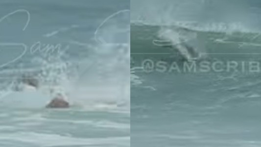 Impactante ataque de un tiburón a un joven en una playa conocida como "la capital mundial de las mordeduras"