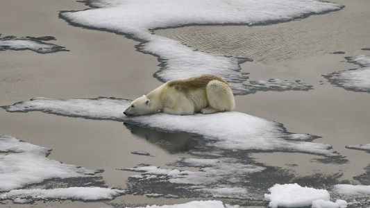 "El mundo sigue un camino catastrófico": ONU advierte por aumento de de 2.7 °C en temperatura media