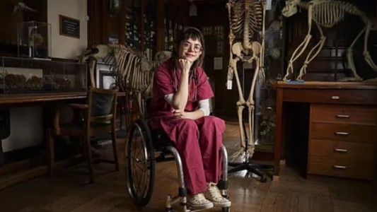 "Acto aleatorio": quedó paralítica al caerle encima un hombre drogado que se tiró desde un tercer piso