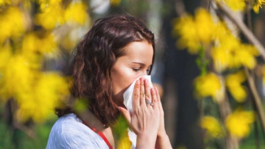 Con la primavera llegan las alergias estacionales, con síntomas similares al Covid-19