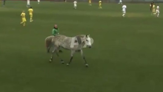 Insólito: un caballo y dos perros interrumpen un partido de fútbol