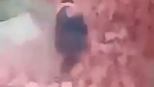 Una mujer salvó a un niño de un peligroso derrumbe al usar su cuerpo como escudo