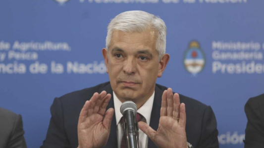 Domínguez: "La exportación no podrá superar nunca el 24% de la producción de carne"