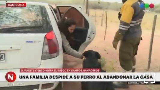 Video: el desgarrador momento en que una familia abandona a su perro en medio de los incendios en Córdoba