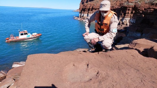 Hallazgo en la Patagonia: Prefectura encontró huellas de dinosaurio