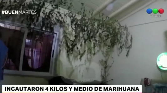 Incautaron 4 kilos y medio de marihuana: tenían un secadero en el cuarto
