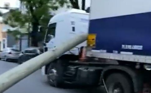 Caída de árboles, postes y voladuras de techo: alerta amarilla por vientos en Buenos Aires