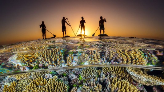 Estudiarán el ADN ambiental para monitorear el efecto del cambio climático en sitios marinos