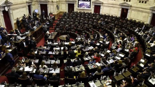Diputados: comisión de Cultura analizó el proyecto de prohibición de embargos a las bibliotecas populares