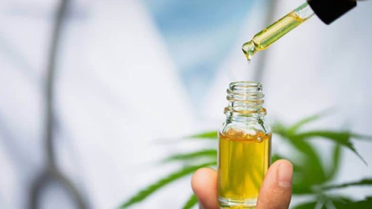 La Corte Suprema le ordenó a una obra social proveer aceite de cannabis a paciente con epilepsia