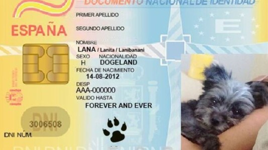 España instala el DNI obligatorio para perros y gatos